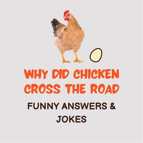 100 Funny Why Did The Chicken Cross The Road Answers And Jokes