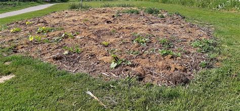 Permaculture Comment Monter Une Butte En Lasagne