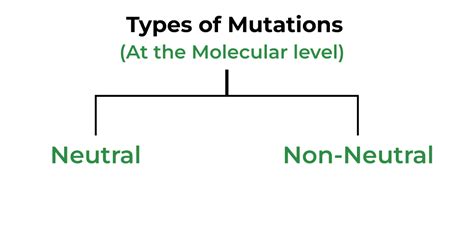 Mutation-Definition, Types, Causes, Characteristics