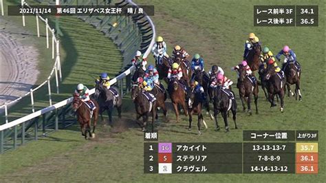 【エリザベス女王杯 2022】過去5年のレース映像・傾向 競馬予想動画