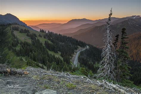 Sunrise at Hurricane Ridge - Sunrise Peak Photograph by Charlie Duncan