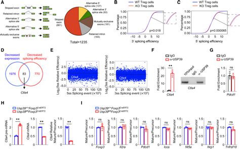 Lactate Modulates Rna Splicing To Promote Ctla Expression In Tumor