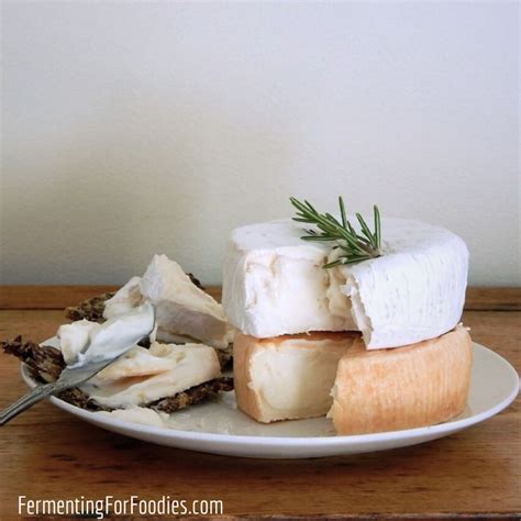 12 Simple Homemade Cheese Recipes - Fermenting for Foodies