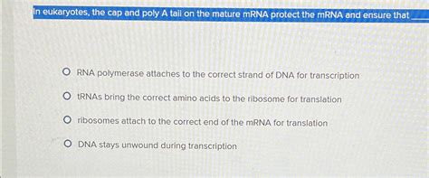 Solved In Eukaryotes The Cap And Poly A Tail On The Mature Chegg