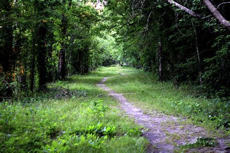 Path Through The Woods Photograph By Owen Aucoin Pixels