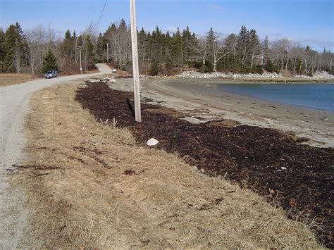 Visit Reach Beach | Island Heritage Trust