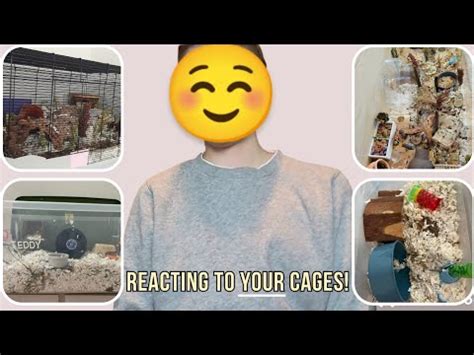 Reacting To My Subscribers Hamster Cages Pt 3 YouTube