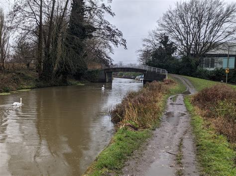 The River Wey Weybridge Loop Km Surrey Walks