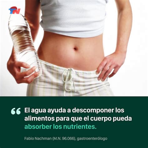 Cuál Es La Importancia Del Agua En La Digestión Tn