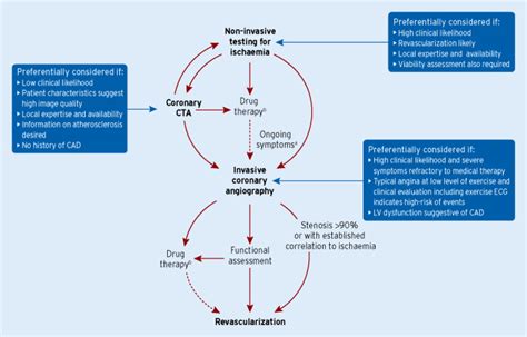 esc  guidelines   diagnosis  management  chronic