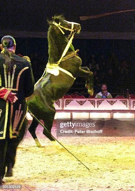 Manege Zirkus Photos And Premium High Res Pictures Getty Images