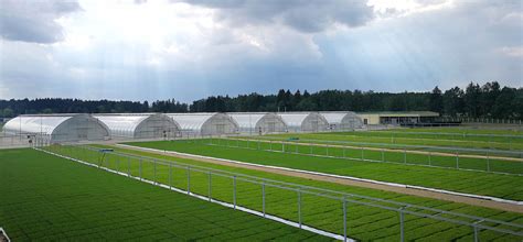 Республиканский лесной селекционно-семеноводческий центр - Главная