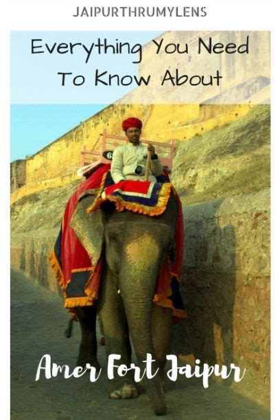 Everything You Need To Know About Amer Fort Guide