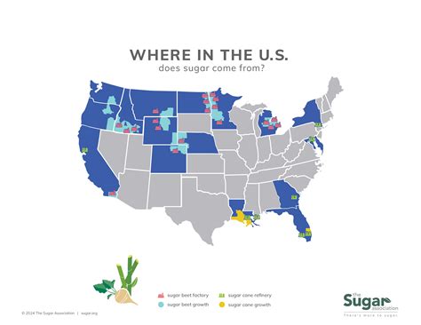 About the U.S. Sugar Industry | The Sugar Association