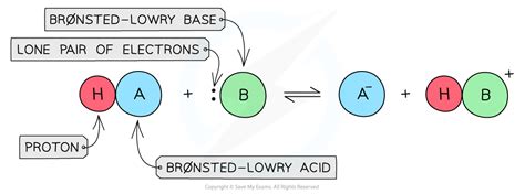 Br Nstedlowry Acids Bases Dp Ib Chemistry Hl Revision Notes