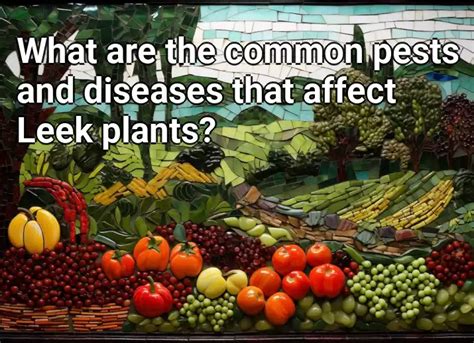 What Are The Common Pests And Diseases That Affect Leek Plants Agriculture Gov Capital