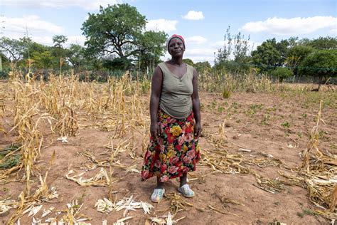 WFP Intensifies Support For Zimbabwe As El Niño Drought Causes Severe