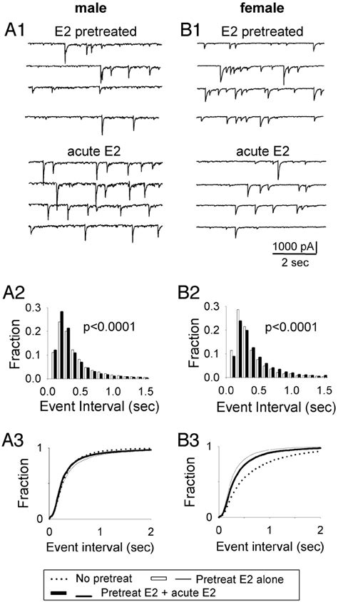 Sex Differences In Estrogenic Regulation Of Neuronal Activity In Neonatal Cultures Of