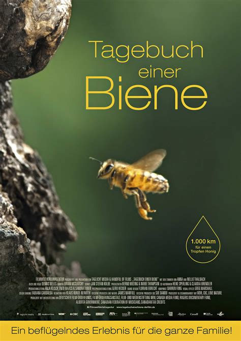 Tagebuch Einer Biene Bienen Natur 6 2022