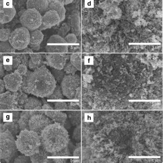 Low And High Magnification FESEM Images Of NiCo2O4 Hydrothermally