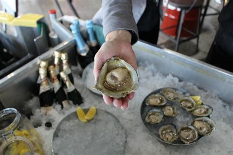 Bluff Oyster Festival 2024 Tickets - Amii Daloris