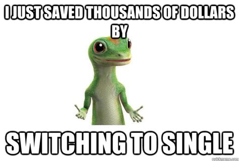 Geico gecko Memes