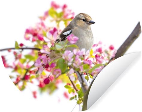 WallCircle Muurstickers Behangcirkel Vogel Tussen Roze Bloemen