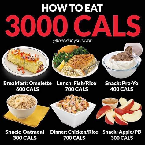 How To Eat 3000 Cals By Theskinnysurvivor Here Is An Example Full Day Of Eating At 3000 C