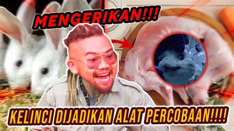 Sungguh Mengerikan Kelinci Dijadikan Alat Percobaan Audreya