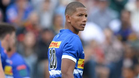 URC: Manie Libbok set to feature for Stormers against Sharks : PlanetRugby