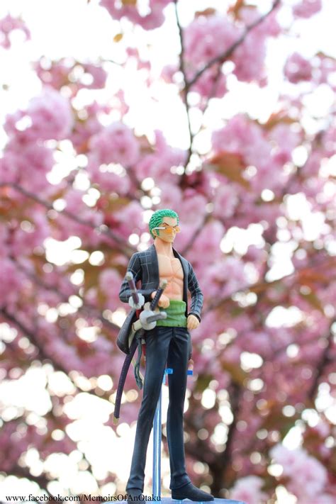 One Piece Cherry Blossoms Zoro By Memiorsofanotaku On Deviantart