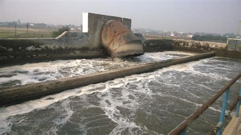 Report on Sewage Treatment Plant Tour | BBDITM