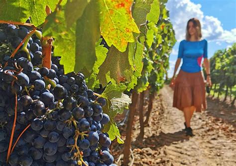 La Ruta Del Vino De Toro Entre Las Favoritas Para El Enoturismo