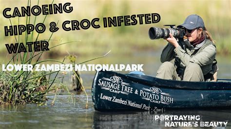 Canoe Photo Safari In Zambia S Lower Zambezi Nationalpark YouTube