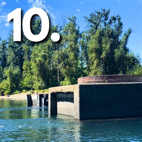 10 Ways To Protect Clackamas Biodiversity Clackamas River Basin Council