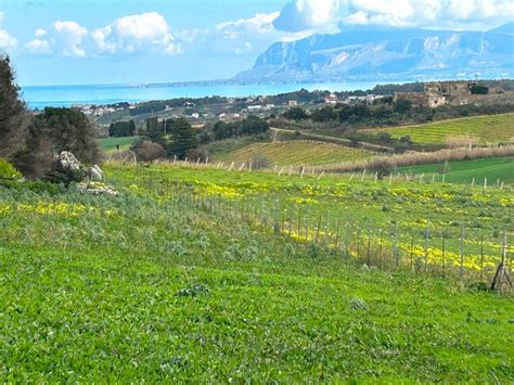 Terreno Agricolo Contrada Aversa Castellammare Del Golfo Rif