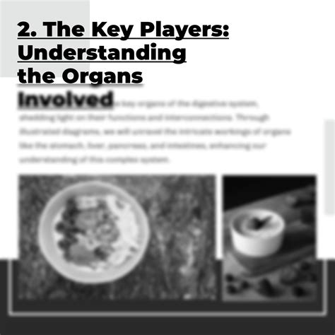 SOLUTION: Explain the digestive system with the help of diagram - Studypool