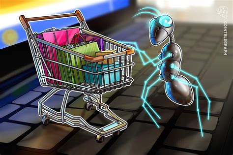 11 Consejos Para Evitar Estafas Con Compras En Internet Según Un Experto