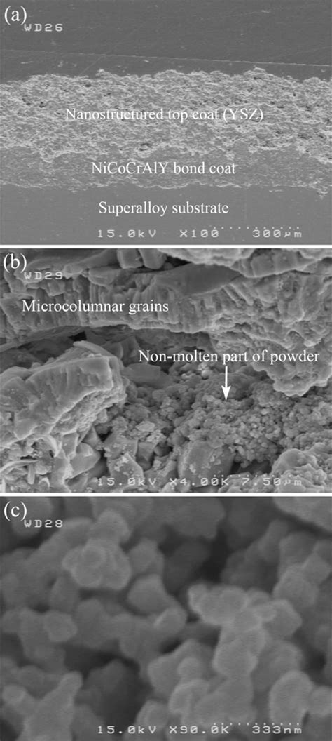 FESEM Micrographs Of A Polished Cross Section Of TBC With