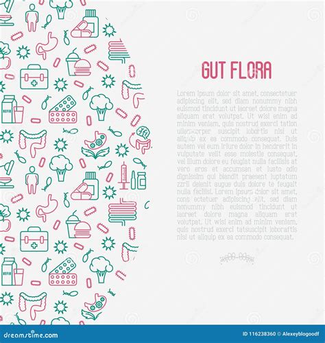 Gut Flora Concept With Thin Line Icons Stock Vector Illustration Of