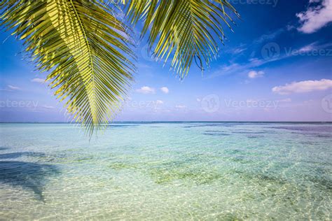 Fantastic beach scene. Beautiful sea horizon with palm leaves, tropical ...