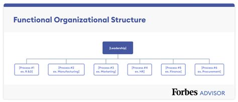 Modern Management Structure Functional Organization Definiti