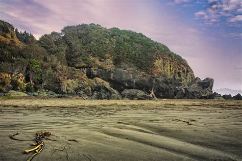 Humboldt Beaches