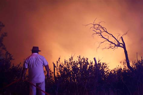 Fotos Las Impactantes Im Genes De Los Incendios Forestales Que Azotan