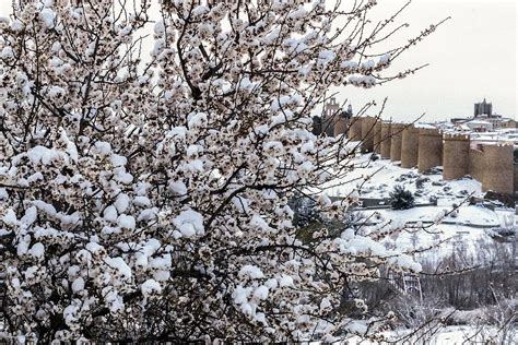 Una Borrasca Atl Ntica Devuelve A Espa A Al Crudo Invierno Con Doce