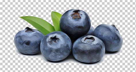 Fruit European Plum Berry Superfood Bilberry Png Clipart Berry