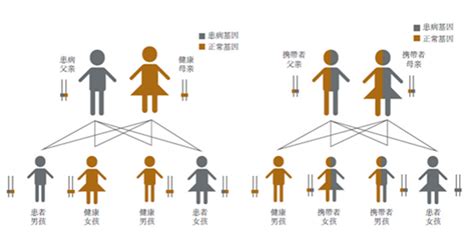 遗传专科诊疗门诊 广东省妇幼保健院