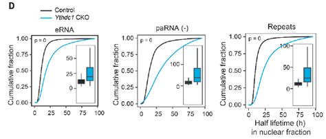 何川教授science揭秘m6a修饰新功能 －－ 调控染色质状态和转录活性