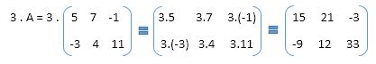Multiplicação De Matriz Por Um Numero Real - Aprendendo Matrizes: Multiplicação de um número real por uma matriz