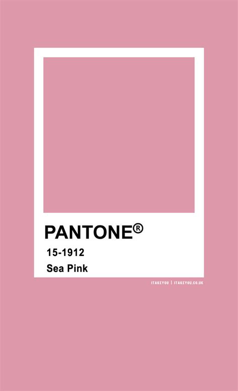 Pantone Color Pantone Sea Pink Pantone Pink Pantone Colour | Porn Sex Picture